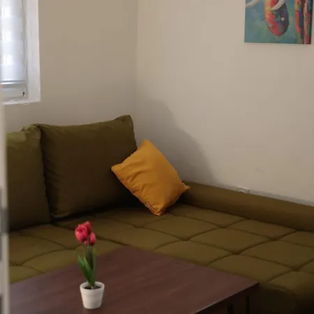 Aleksandar Holiday home *