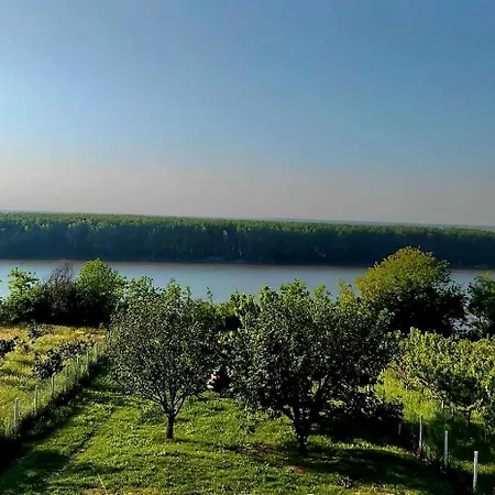 Aleksandar * Krcedin