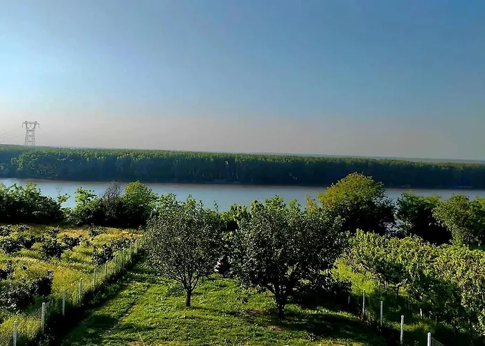 Aleksandar * Krcedin